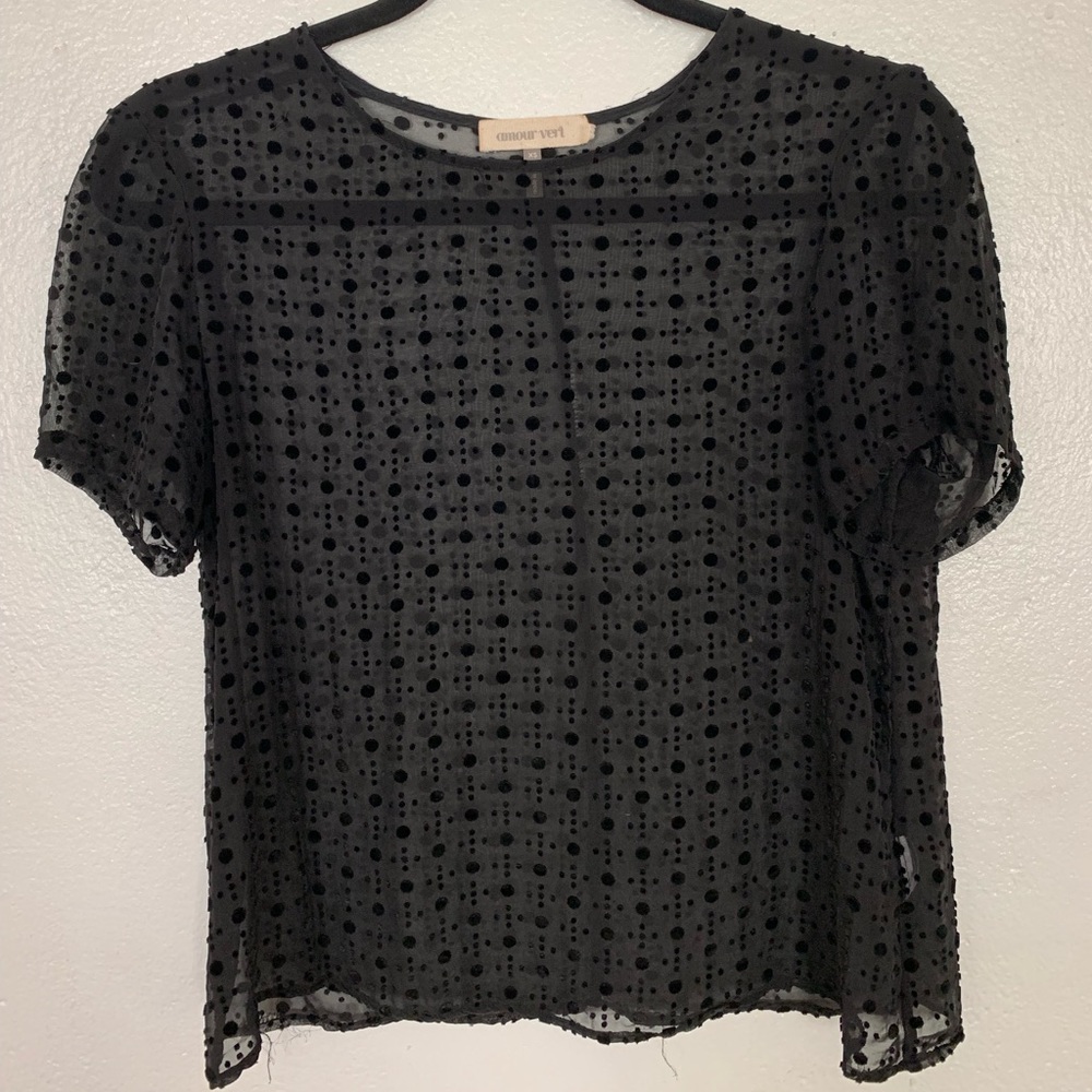 Sheer black top w velvet dot pattern
